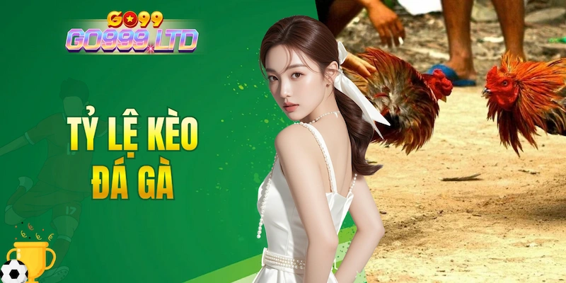 Tỷ lệ kèo đá gà